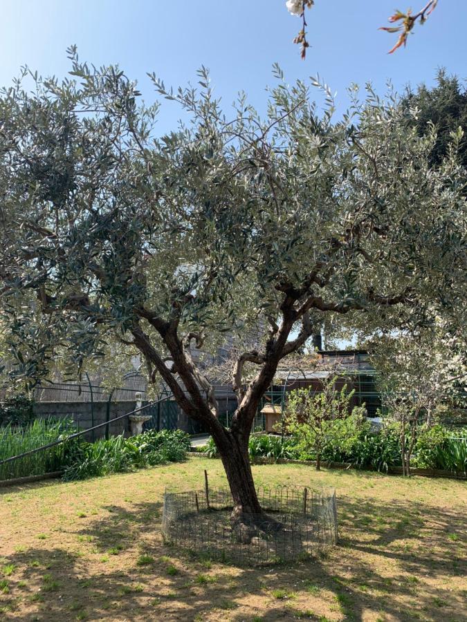 סאבונה Resort Dependance Di Villa Rosa Maria מראה חיצוני תמונה